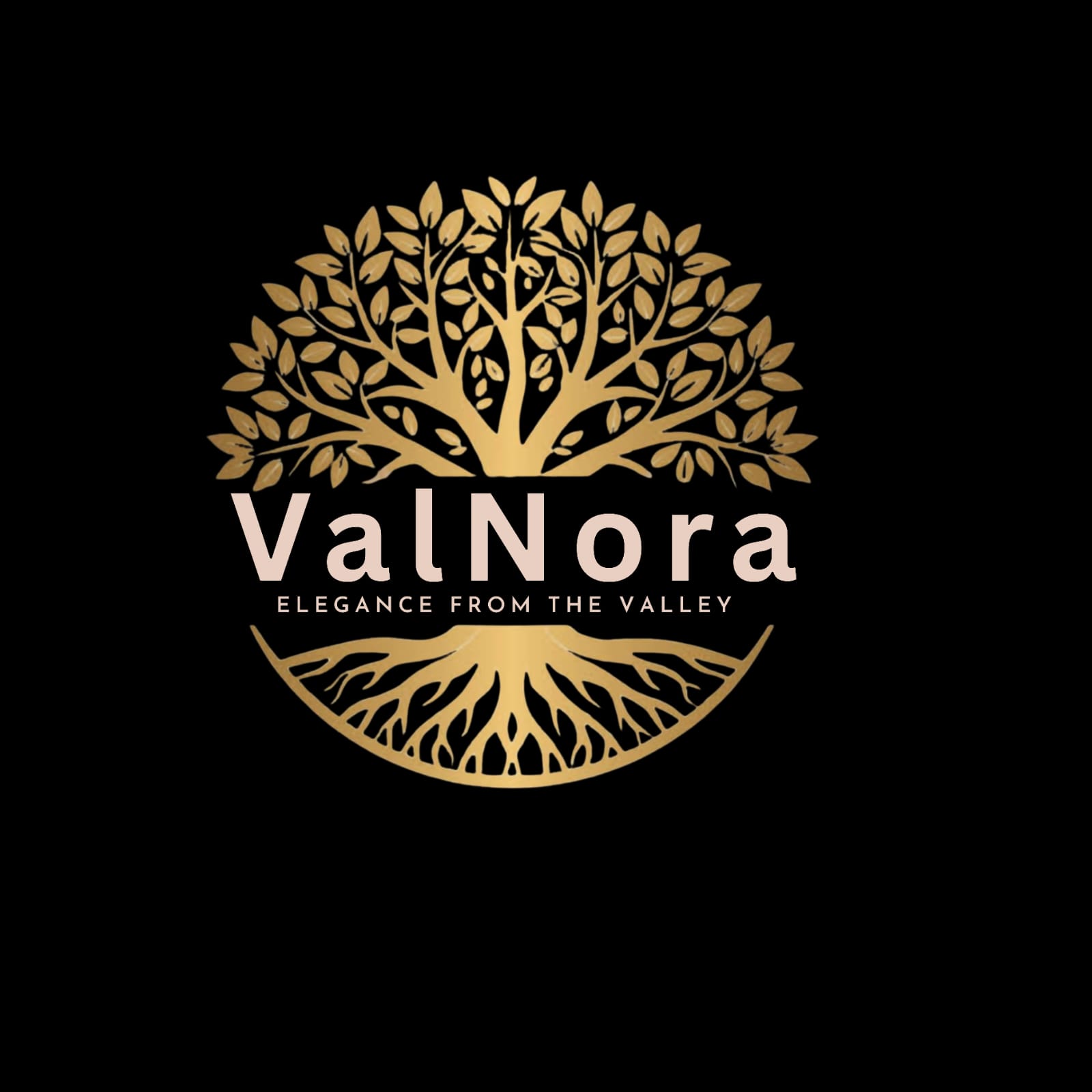 Valnora logo